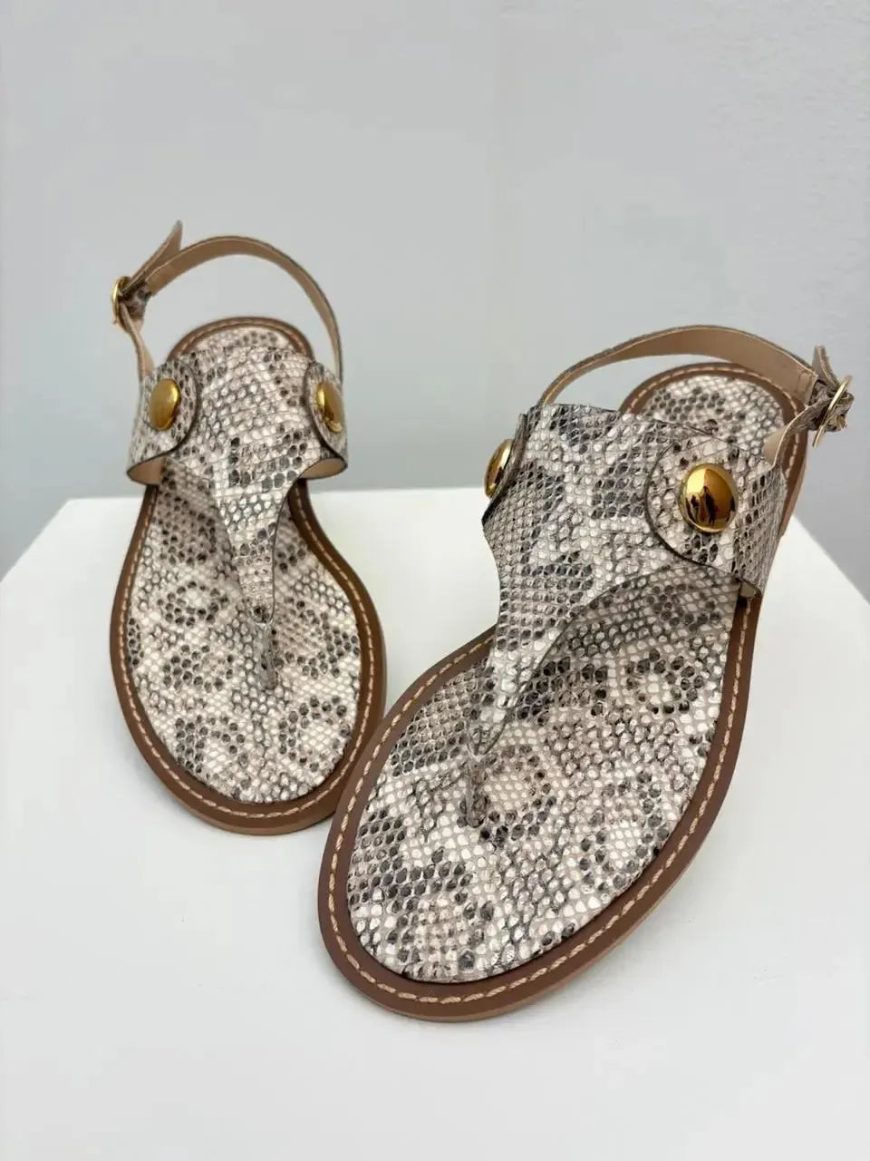 Rasteira Antonia, Piton